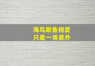 海鸟跟鱼相爱 只是一场意外